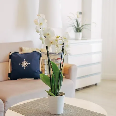 Z Widokiem Na Morze Z Aneksem Kuchennym I Basenem Ultra Marine شقة *